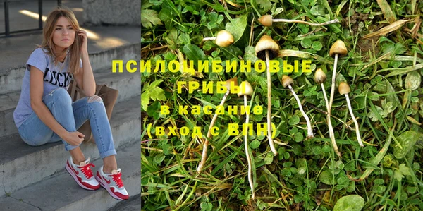 гашишное масло Аркадак